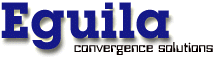 Eguila - convergence solutions